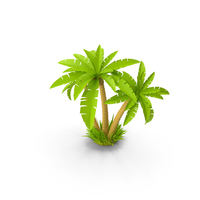 Palm Tree PNG & PSD Images