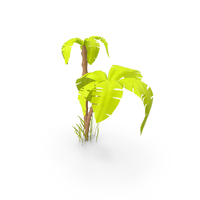 Palm Tree PNG & PSD Images