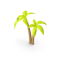 Palm Tree PNG & PSD Images