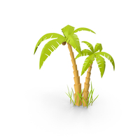 Palm Tree PNG & PSD Images
