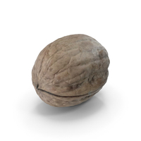 Walnut PNG & PSD Images
