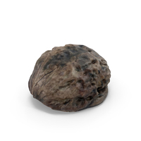 Walnut PNG & PSD Images