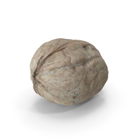 Walnut PNG & PSD Images