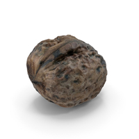 Walnut PNG & PSD Images