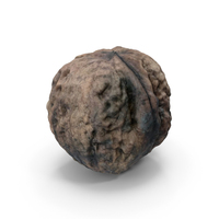 Walnut PNG & PSD Images