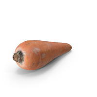 Carrot PNG & PSD Images