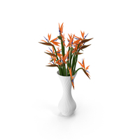 Strelitzia PNG & PSD Images