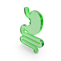 Stomach Anatomy Medical Icon PNG & PSD Images