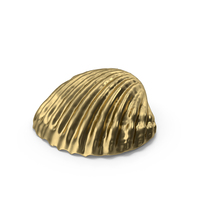 Gold Seashell PNG & PSD Images