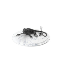 Lizard PNG & PSD Images