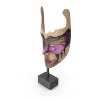 Mask PNG & PSD Images