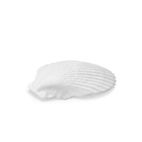 Monochrome Shell PNG & PSD Images