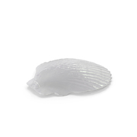 Glass Shell PNG & PSD Images