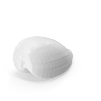 Monochrome Shell PNG & PSD Images