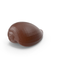 Chocolate Shell PNG & PSD Images