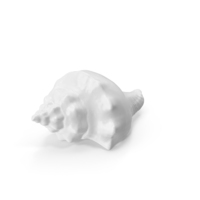 Monochrome Shell PNG & PSD Images