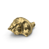 Gold Shell PNG & PSD Images