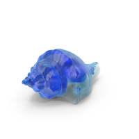 Glass Sea Shell PNG & PSD Images