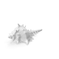 Monochrome Shell PNG & PSD Images