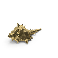 Gold Shell PNG & PSD Images