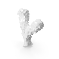 Monochrome Coral PNG & PSD Images