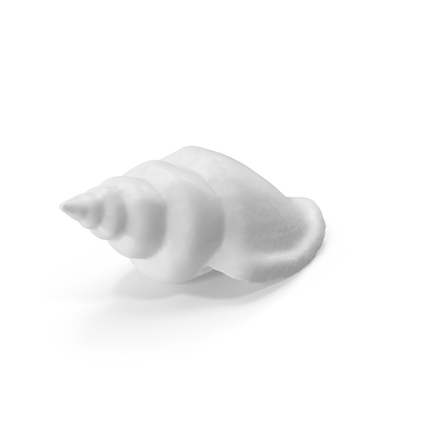 Monochrome Sea Shell PNG & PSD Images