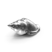 Silver Sea Shell PNG & PSD Images