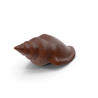 Chocolate Sea Shell PNG & PSD Images