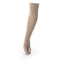 Beige Women Long Gloves PNG & PSD Images