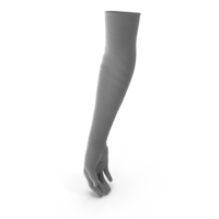 Grey Women Long Gloves PNG & PSD Images