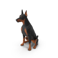 Doberman Pinscher Dog Sits PNG & PSD Images