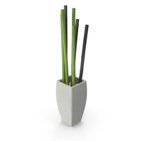 Plant Pot With Bamboo Canes PNG & PSD Images