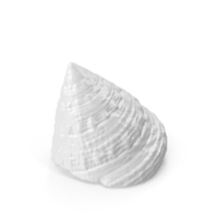 Monochrome Sea Shell PNG & PSD Images