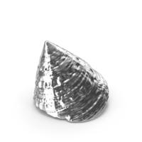 Silver Sea Shell PNG & PSD Images