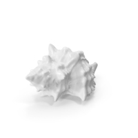 Monochrome Shell PNG & PSD Images
