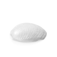 Monochrome Shell PNG & PSD Images