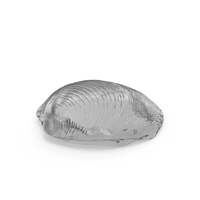 Glass Shell PNG & PSD Images