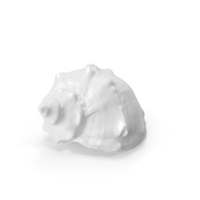 Monochrome Seashell PNG & PSD Images