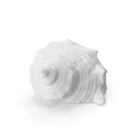 Monochrome Seashell PNG & PSD Images