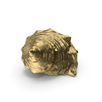 Gold Seashell PNG & PSD Images