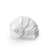 Monochrome Seashell PNG & PSD Images