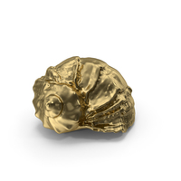Gold Seashell PNG & PSD Images