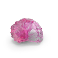 Glass Seashell PNG & PSD Images