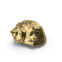 Gold Seashell PNG & PSD Images