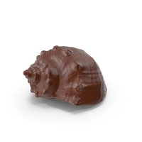 Chocolate Seashell PNG & PSD Images