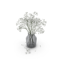 Gypsophila PNG & PSD Images