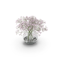 Gypsophila PNG & PSD Images