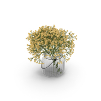 Gypsophila PNG & PSD Images