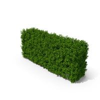 Hedge PNG & PSD Images
