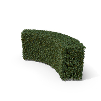 Hedge H100cm PNG & PSD Images
